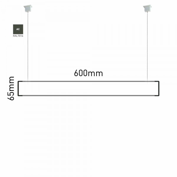 signcode color suspension